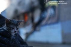 Мир — ключ к восстановлению экономики: вырастет ли ВВП Украины до 2026 года