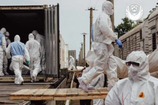 Бачиш, як хтось втрачає свідомість? Розкажемо, що треба робити