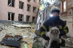 Погода в Чернігові в травні здивує: готуйся до перепадів температур та несподіваних дощів