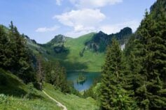 прогноз на липень на світязі