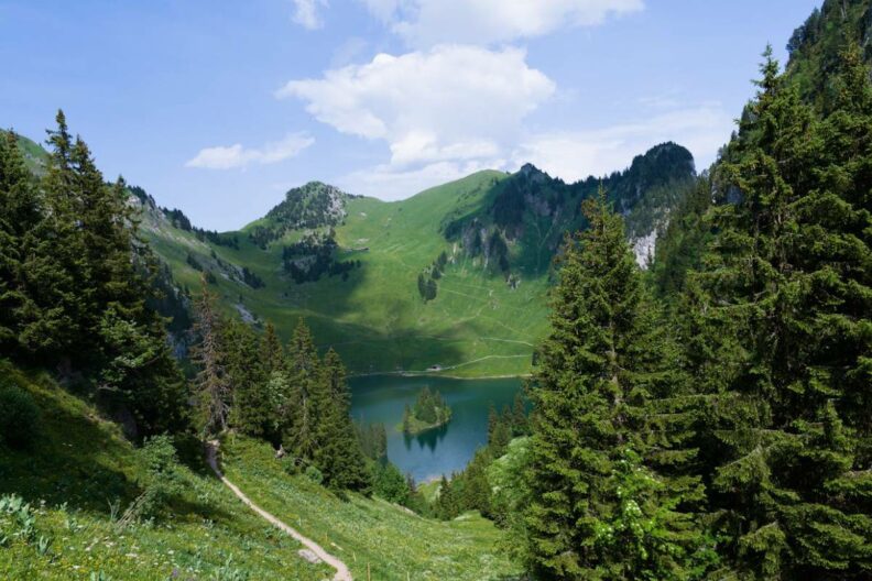 прогноз на липень на світязі