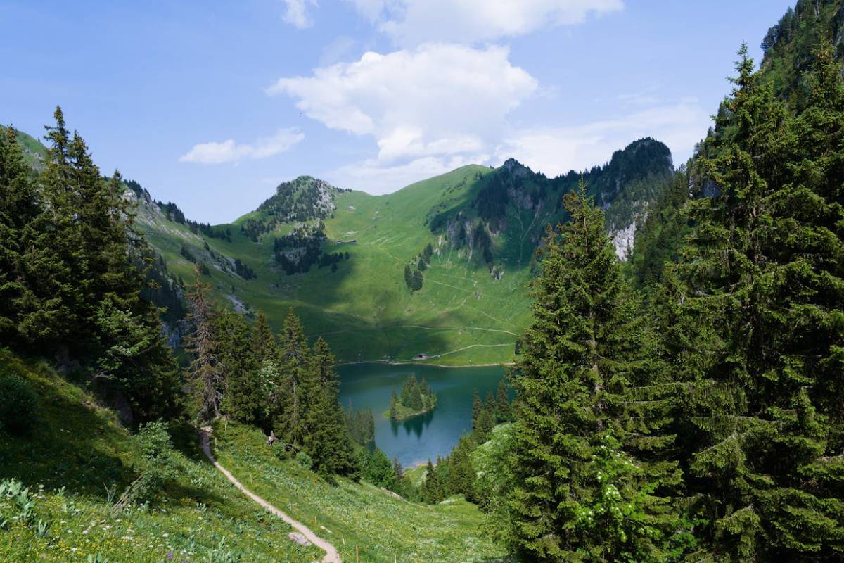 прогноз на липень на світязі