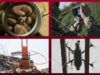 За розробку — гроші! Як Міноборони планує заохочувати військові інновації