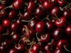 Чтобы сохранить невероятный вкус надолго: как сушить черешню в электросушилке