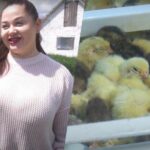 Копченые яйца и паштеты из перепелов: как Маргарита сменила бизнес в Киеве на экоферму