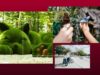 Гамаки, тропическая ферма или урбан-парк? Лучшие локации на ВДНХ этим летом