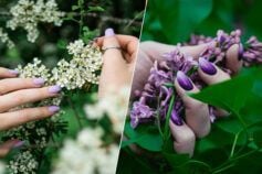 какой лавандовый маникюр стоит попытаться сделать