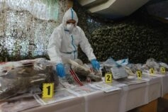 Мислення більше не потрібне? Чому людський мозок зменшився протягом останніх тисячоліть
