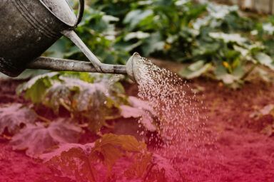 Місячний посівний календар на липень