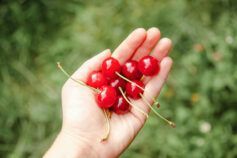 Как заморозить вишню