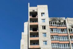 Збирай за сезон два рази урожай соковитої ягоди: догляд за ремонтантною малиною влітку