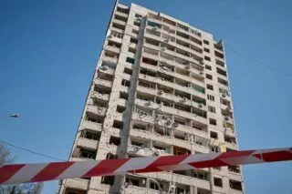 дрон черніка