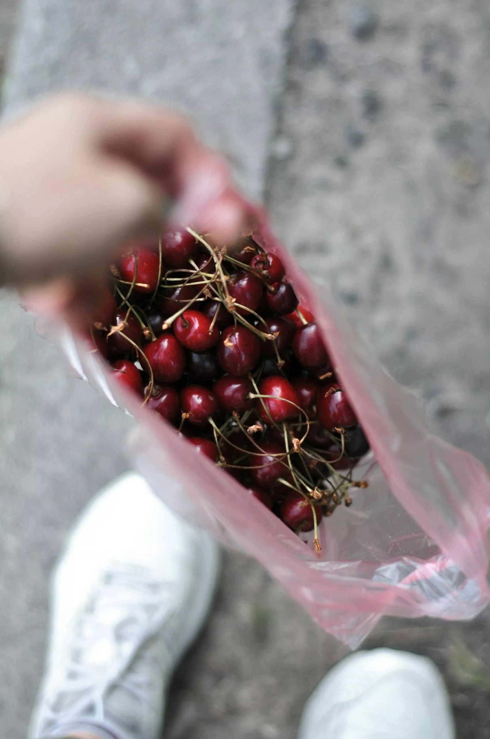 Черешня у власному соку