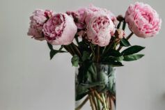Что добавить в воду, чтобы цветы дольше стояли