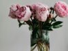 Что добавить в воду, чтобы цветы дольше стояли: советы флориста