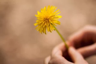 По старинному украинскому рецепту: как приготовить печенье Гамула