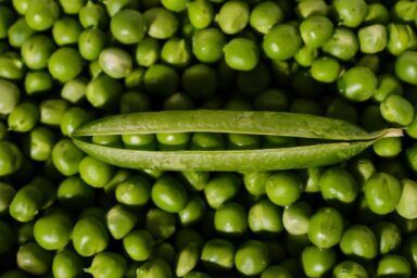 чи можна садити горох у липні