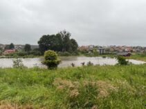 Львів затопило: вулиці йдуть під воду — фото, відео