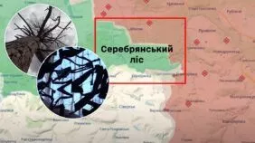 серебрянский лес