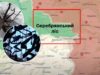 В туалет ходят в бутылку! Как ВСУ защищаются в Серебрянском лесу