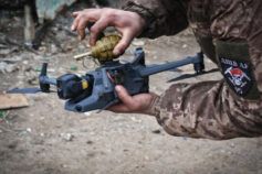Коли вкривати виноград на зиму та як це правильно робити, аби вберегти від холодів та гризунів