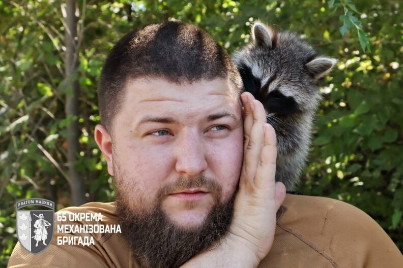 Сержантка Моллі: як єнотик став талісманом для цілої бригади