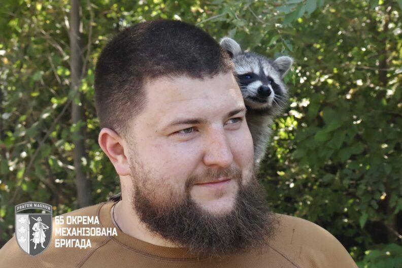 Сержантка Моллі: як єнотик став талісманом для цілої бригади
