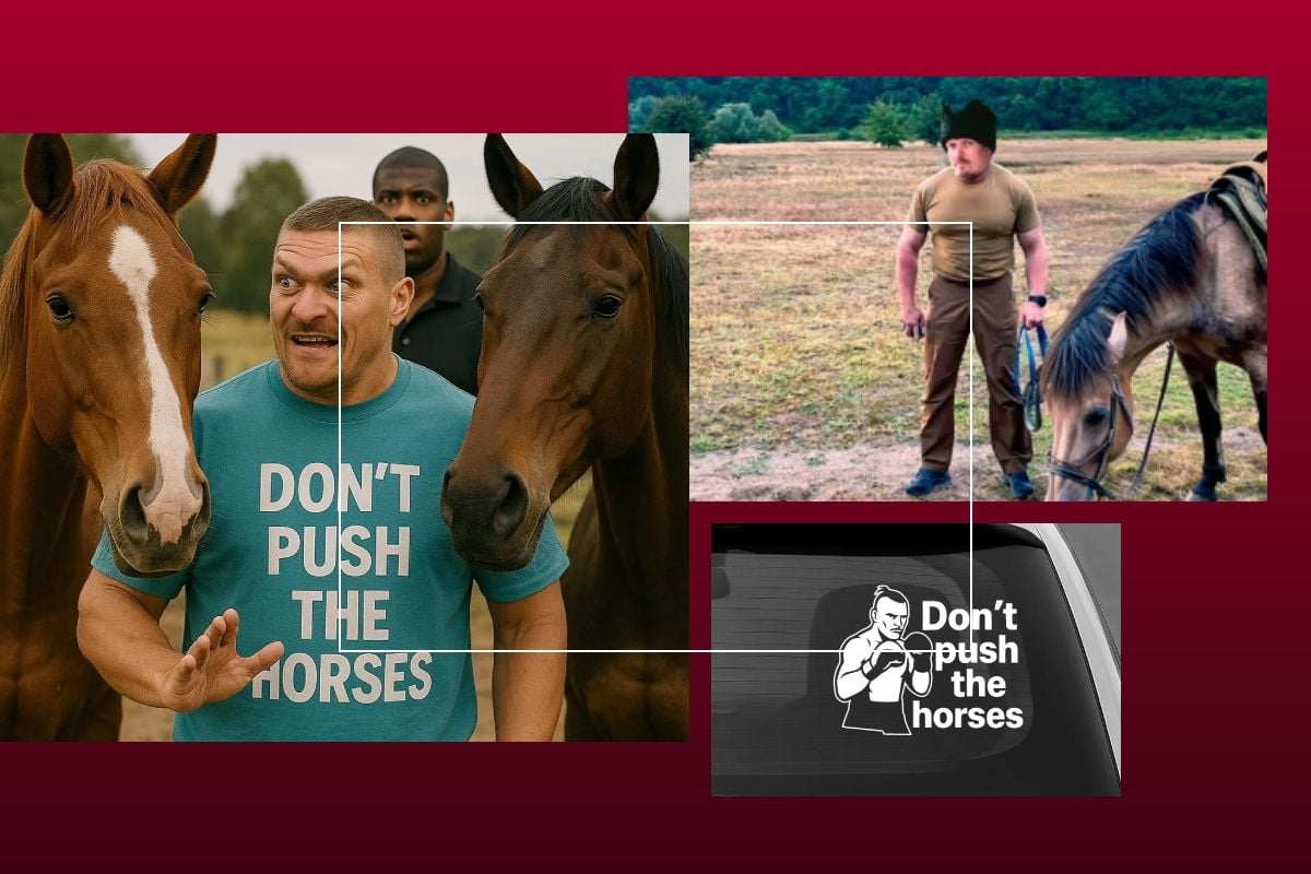 Don’t push the horses: как слова Александра Усика породили волну мемов