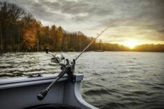 Однією ногою за кордоном, іншою в Україні: які недоліки закону про множинне громадянство