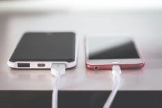 Тренируют в форме игры и учат спасать жизни: как учат служебных псов ГСЧС