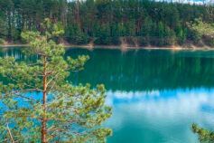Відпочинок у Чернігівській області