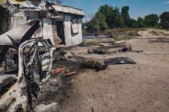 Спеціалісти з IT вже не потрібні? Що робити під час робочої кризи