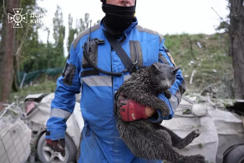 київ святошинський район