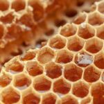 Цена будет космической: непогода уничтожила первый урожай меда