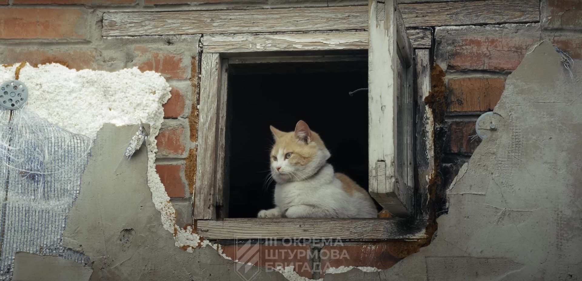 российские пленные в изюме