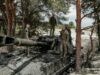Карта бойових дій 12 серпня 2025: активні бойові дії на Новопавлівському напрямку