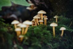 17 октября — какой сегодня праздник. Религиозные и международные праздники и традиции этого дня