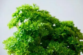 Вредна ли мытая пакетированная зелень