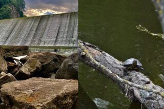 Рятують життя інших ціною власного: будні українських рятувальників у горах