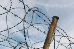 Skibidi, tradwife та delulu: Кембриджський словник поповнився новими визначеннями