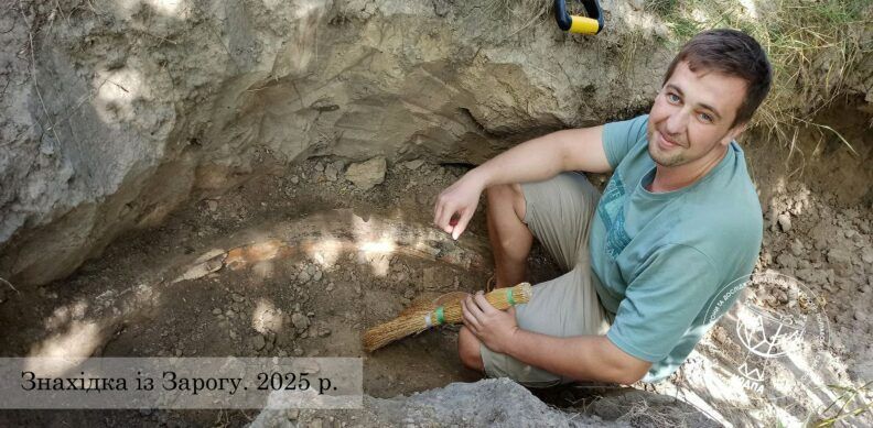 В Полтавской области нашли бивень мамонта: сколько ему лет Фото 2 к: В Полтавской области нашли бивень мамонта