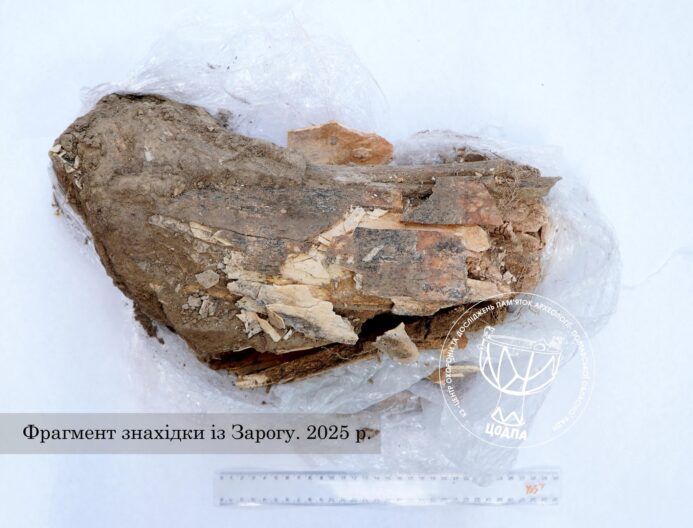 В Полтавской области нашли бивень мамонта: сколько ему лет Фото 3 к: В Полтавской области нашли бивень мамонта