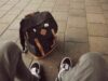 Чоловіки до 22 років можуть отримати дозвіл на виїзд: перші деталі від ВР