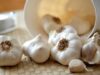 Чеснок на зиму: как и когда сажать растение для лучшего урожая