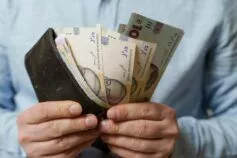 Як обробити помідори борною кислотою: основні правила підгодівлі рослин