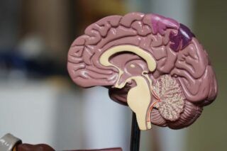 Польза для тебя и даже для последующих поколений — как ведение дневника улучшает здоровье
