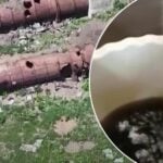 Из кранов течет кока-кола! В Донецке люди на митингах требуют воду