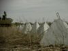 День инженерных войск Украины 2025: невидимые герои фронта