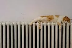 коли включать опалення в житомирі