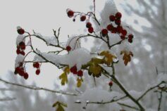 Якою буде зима в Україні